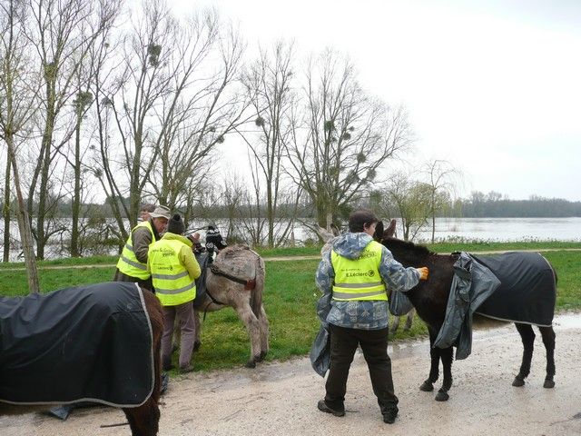 Loire propre 2014 (20).jpg